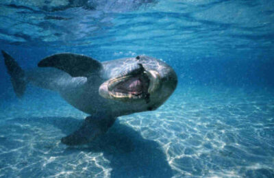 Aerometrex-to-benefit-from-the-seismic-shifts-of-Artificial-Intelligence.-Picture-Getty-640x360