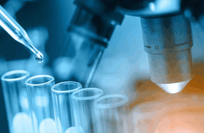 Screenshot 2025-07-31 083319